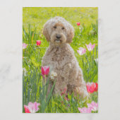 Golden Doodle Bar Menükarte (Rückseite)