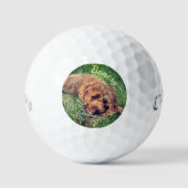 Golden Doodle Callaway Soft Golf Balls Golfball (Vorderseite)