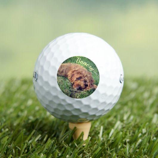 Golden Doodle Callaway Soft Golf Balls Golfball (Insitu T-Shirt)