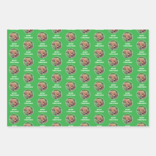 Golden Doodle Geschenkpapier Set (Vorderseite 2)