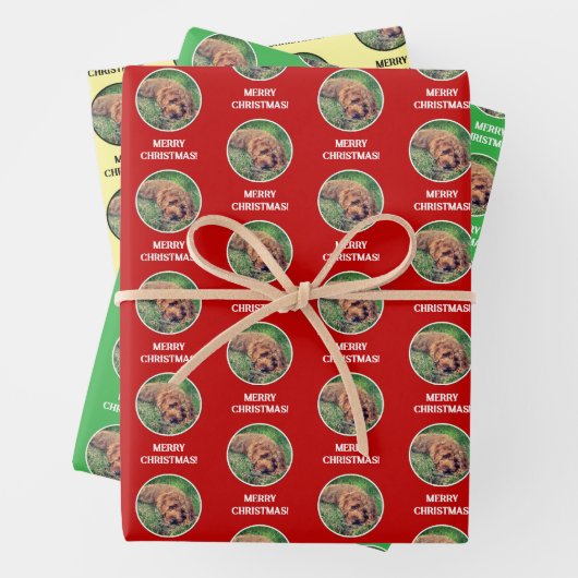 Golden Doodle Geschenkpapier Set (Beispiel)