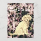 Golden Doodle Postkarte (Vorderseite)