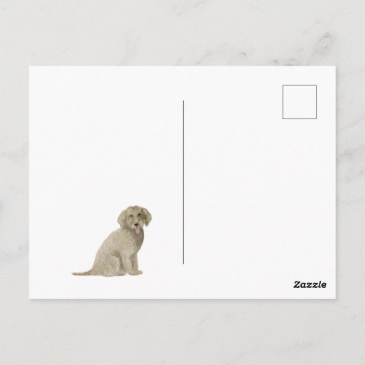 Golden Doodle Postkarte (Rückseite)