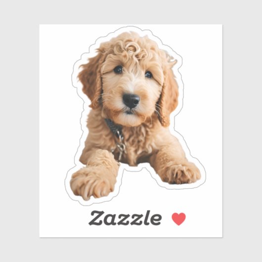 Golden Doodle Puppy Aufkleber (Blatt)