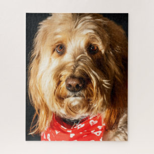 Golden doodle Puppy Dog Puzzle