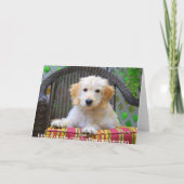 Golden Doodle Puppy Grußkarte Karte (Rückseite)