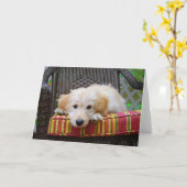 Golden Doodle Puppy Grußkarte Karte (Gelbe Blume)