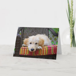 Golden Doodle Puppy Grußkarte Karte