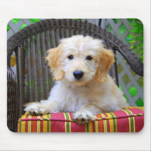 Golden Doodle Puppy Mousepad