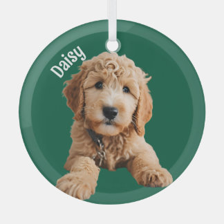 Golden Doodle Puppy Ornament Aus Glas