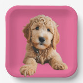 Golden Doodle Puppy Pappteller (Vorderseite)