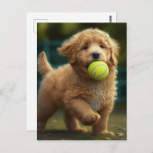 Golden Doodle Puppy Plays Ball Postkarte (Vorne/Hinten)