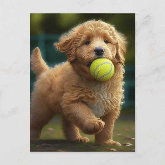 Golden Doodle Puppy Plays Ball Postkarte (Vorderseite)