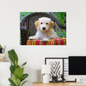 Golden Doodle Puppy Poster (Heimbüro)