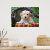 Golden Doodle Puppy Poster (Küche)