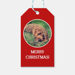 Golden Doodle Red Geschenkanhänger