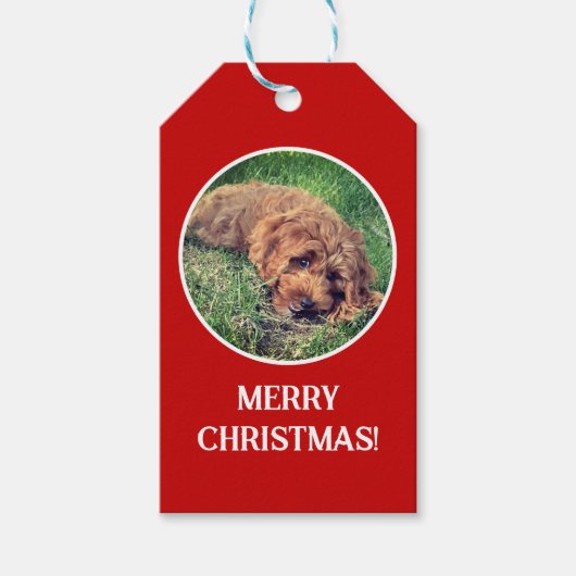 Golden Doodle Red Geschenkanhänger (Vorderseite)