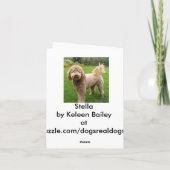 Golden Doodle Stella Karte (Rückseite)