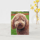 Golden Doodle Stella Karte (Gelbe Blume)