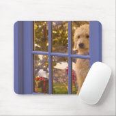 Golden Doodle Welpe mit Glastür Mousepad (Mit Mouse)