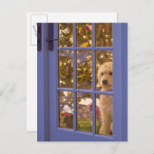 Golden Doodle Welpe mit Glastür Postkarte (Vorne/Hinten)