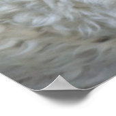 Golden Doodle Welpen Poster (Ecke)