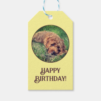 Golden Doodle Yellow Geschenkanhänger