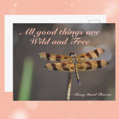 Golden Dragonfly All Good Things Wild und kostenlo Postkarte