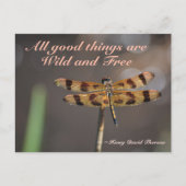 Golden Dragonfly All Good Things Wild und kostenlo Postkarte (Vorderseite)