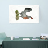 Golden Duckwing Hen Banner (Messeveranstaltung)