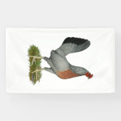 Golden Duckwing Hen Banner (Horizontal)