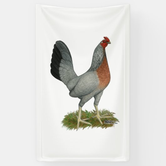 Golden Duckwing Hen Banner (Vertikal)