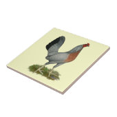 Golden Duckwing Hen Fliese (Seite)