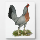 Golden Duckwing Hen Fotoplatte (Vorderseite)