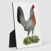 Golden Duckwing Hen Fotoplatte (Seite)