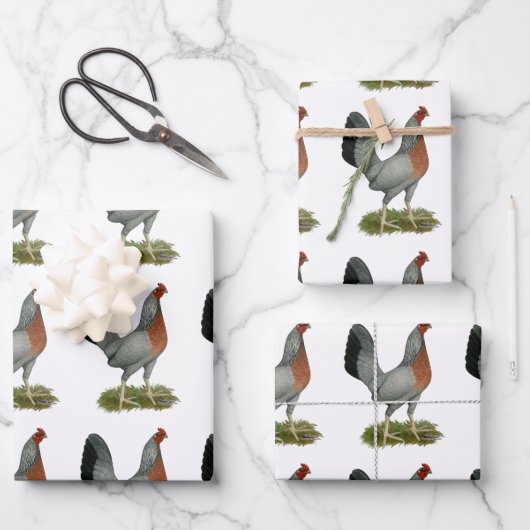 Golden Duckwing Hen Geschenkpapier Set (Vorderseite)
