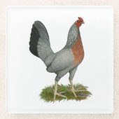 Golden Duckwing Hen Glasuntersetzer (Vorderseite)
