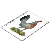 Golden Duckwing Hen Notizblock (Linke Seite)