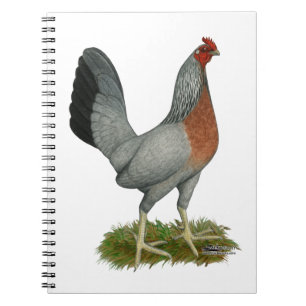 Golden Duckwing Hen Notizblock