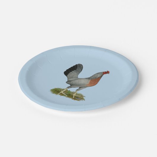 Golden Duckwing Hen Pappteller (Schrägansicht)