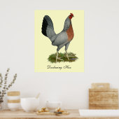 Golden Duckwing Hen Poster (Küche)
