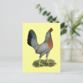 Golden Duckwing Hen Postkarte (Stehend Vorderseite)