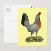 Golden Duckwing Hen Postkarte (Vorne/Hinten)