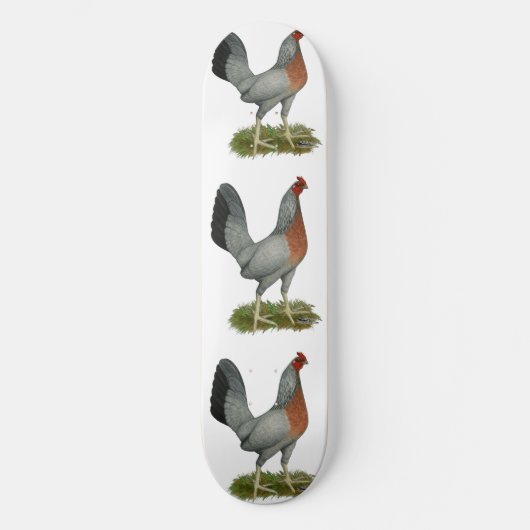 Golden Duckwing Hen Skateboard (Vorderseite)