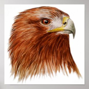 Golden Eagle 2011 Poster