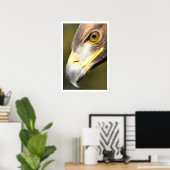 Golden Eagle Face Poster (Heimbüro)