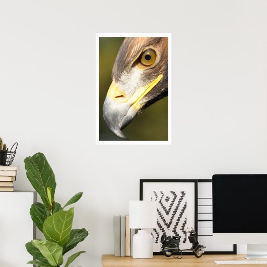 Golden Eagle Face Poster (Heimbüro)