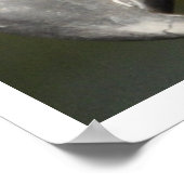 Golden Eagle Face Poster (Ecke)