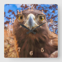 Golden Eagle GOLDEN EYES