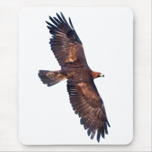 Golden Eagle in Flight Mousemat (Farbe auswählen) Mousepad